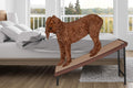 Pet Gear Free Standing Pet Ramp D613