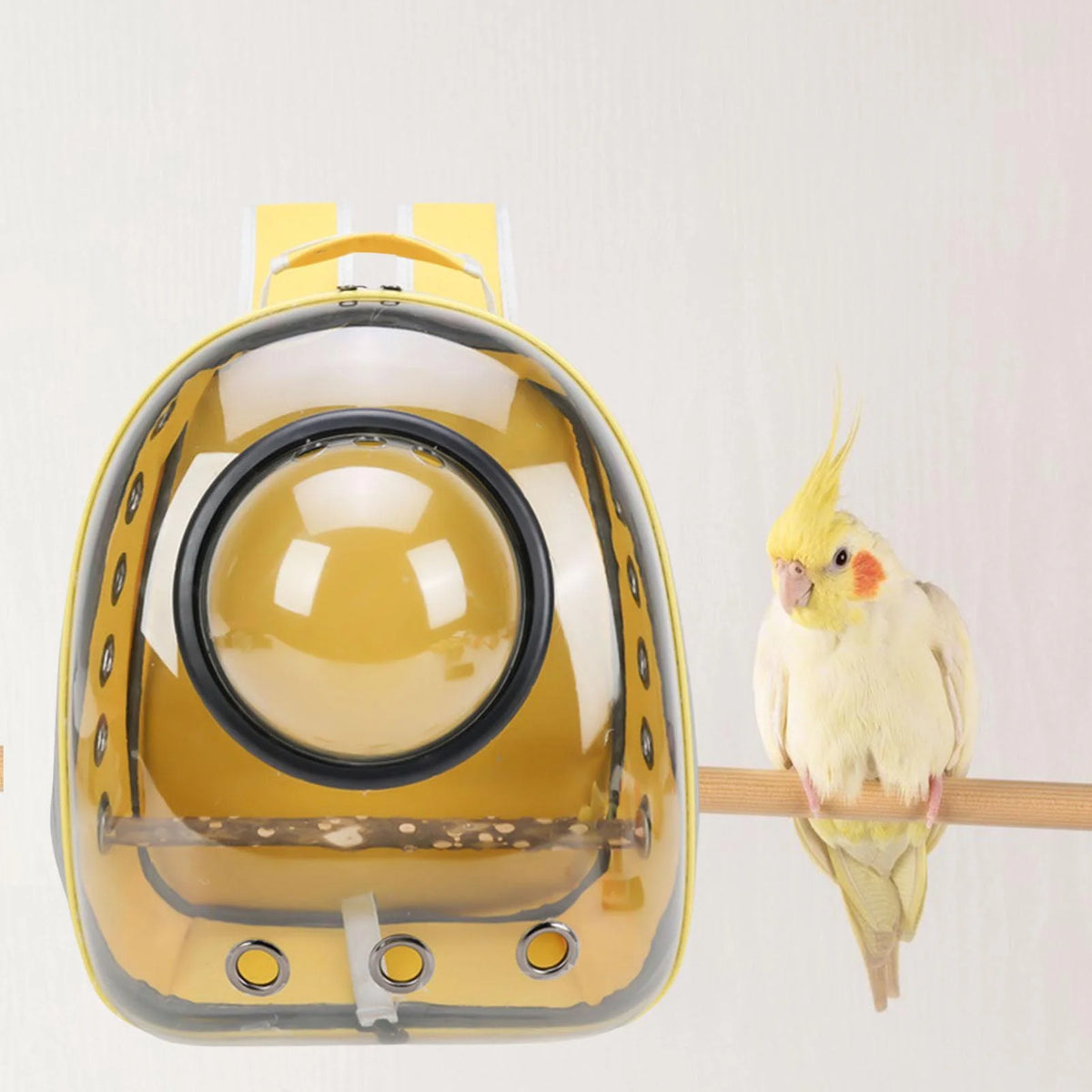 Green Yellow Transparent Bird Carrier with Perch W98019
