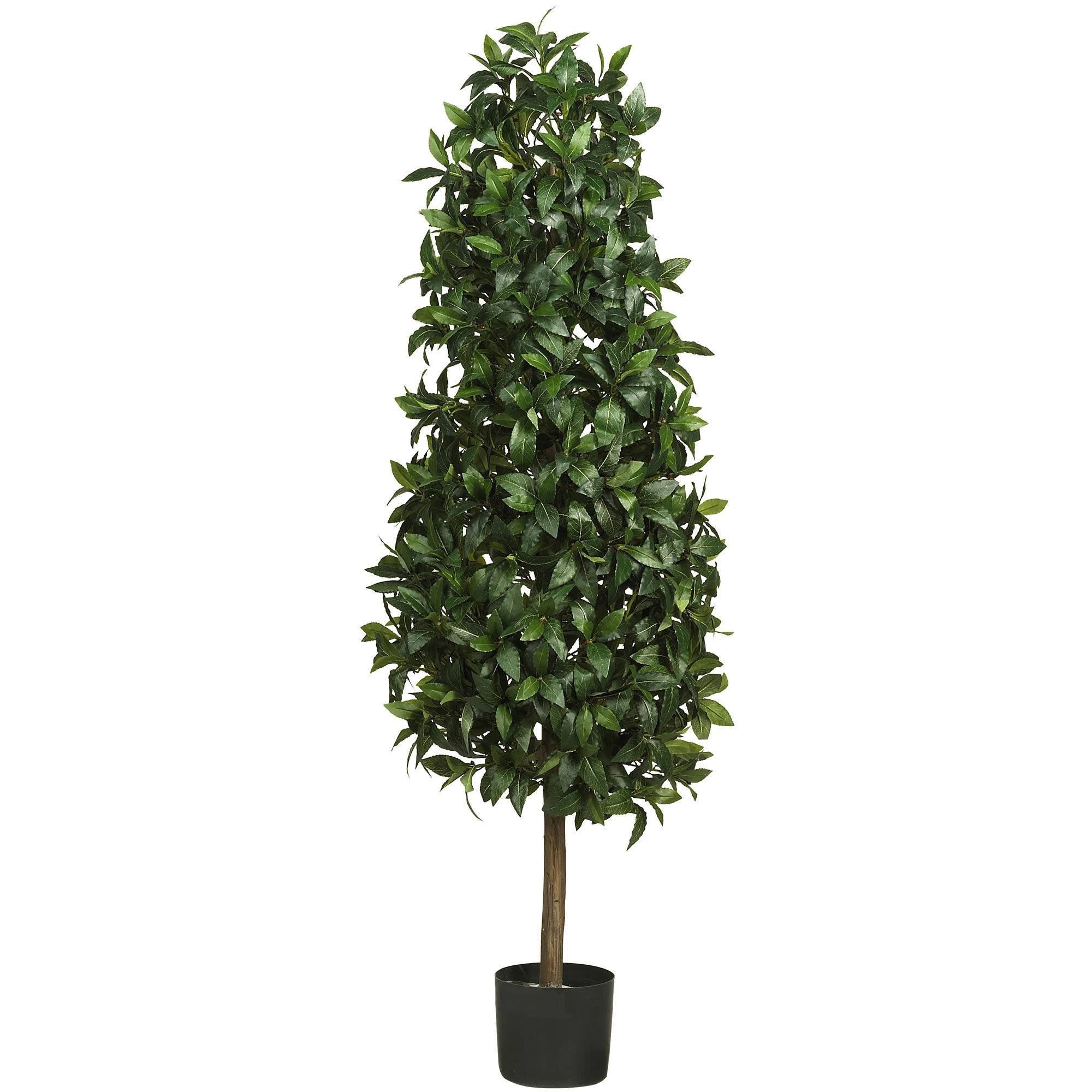 5' Sweet Bay Pyramid Silk Tree P371949