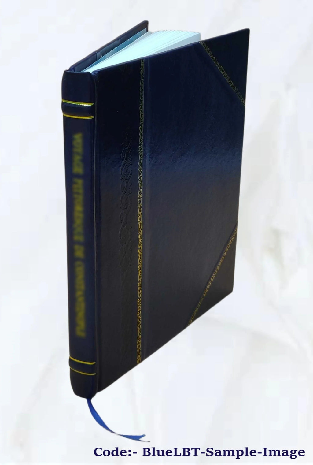Leather Bound Book T8551