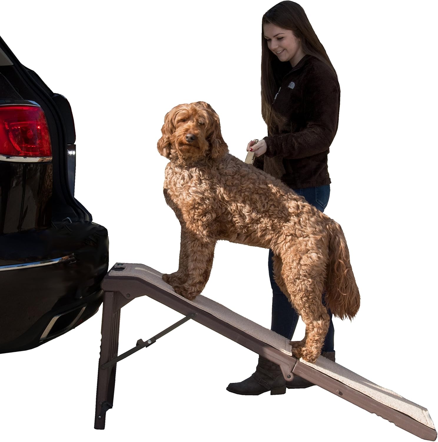 Pet Gear Free Standing Pet Ramp D613