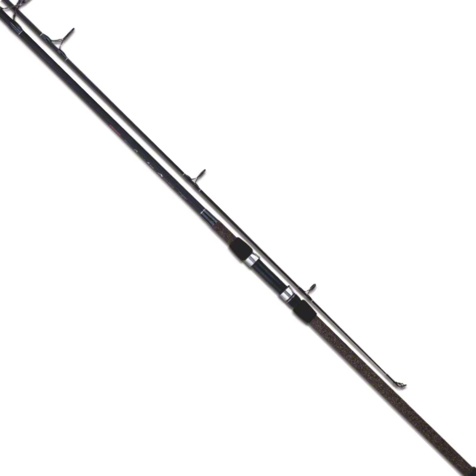 Surf Fishing Rod E164