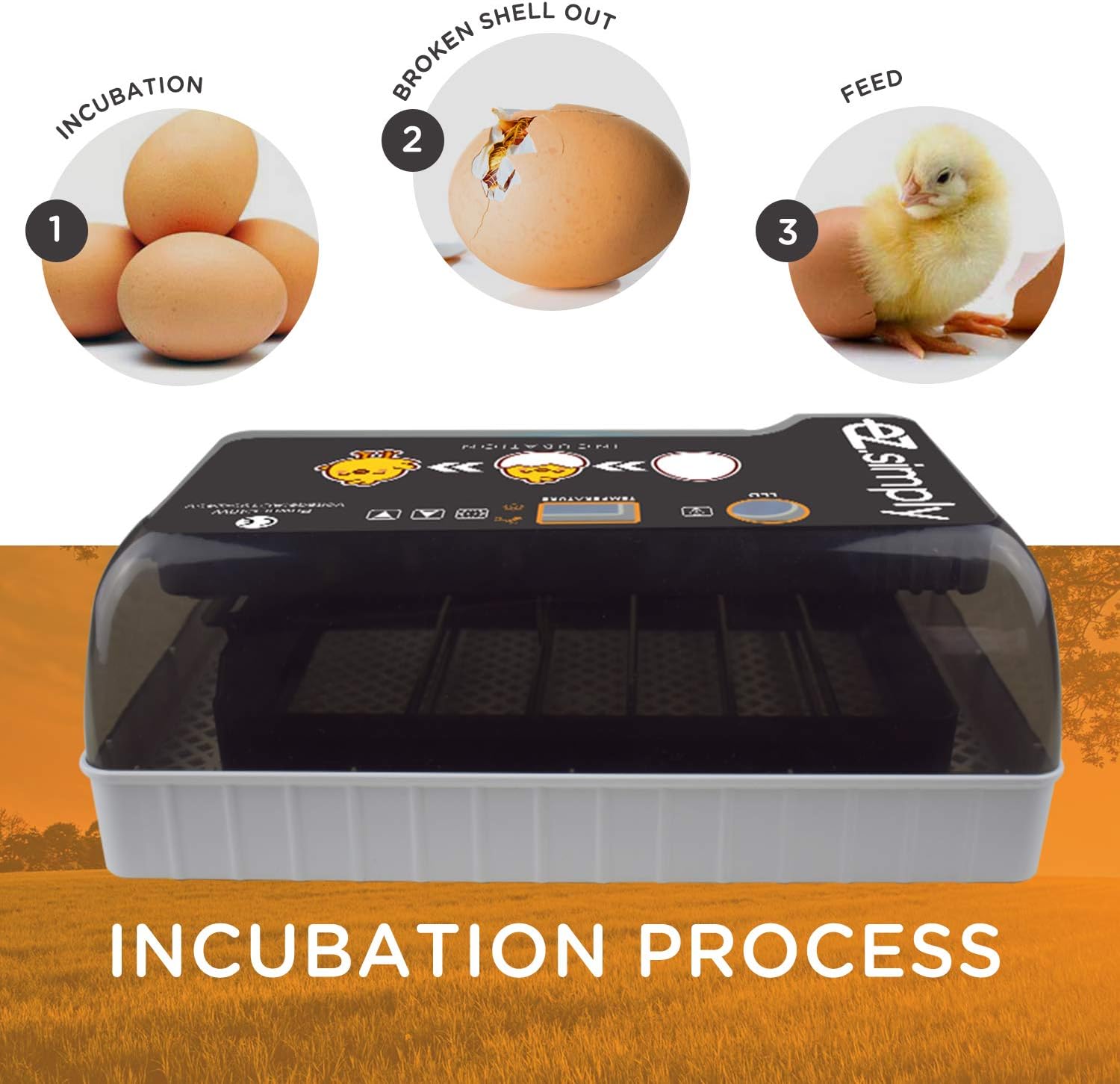 Egg Incubator with Automatic Egg Turning and LED Egg Candler M634584