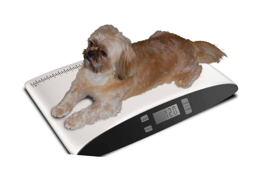 Small Pet Digital Scale B945066