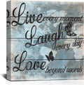 Butterfly Canvas Wall Art 24x24 Y96824