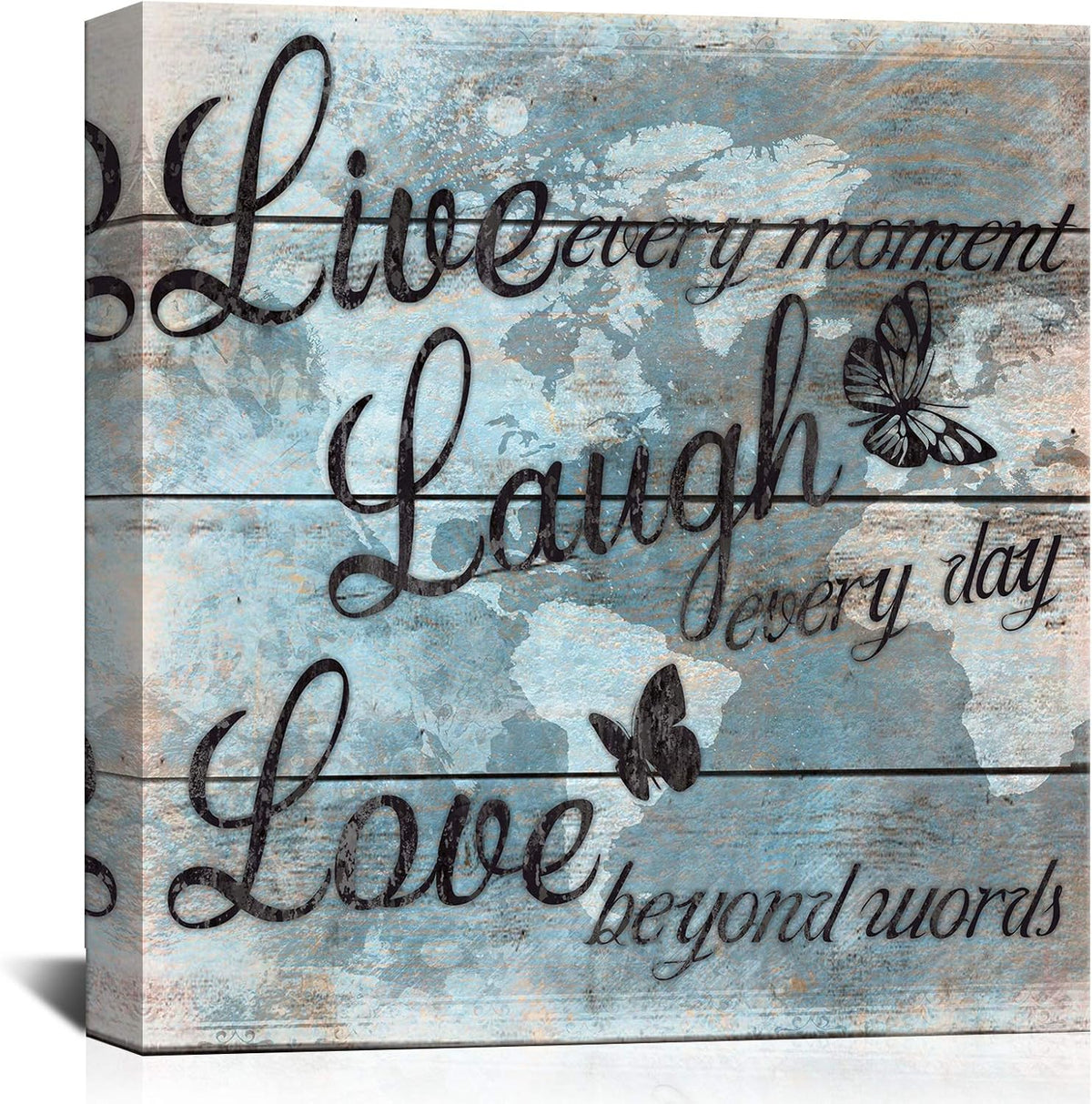 Butterfly Canvas Wall Art 24x24 Y96824