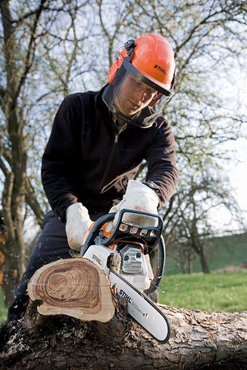16x22 Chainsaw I27181