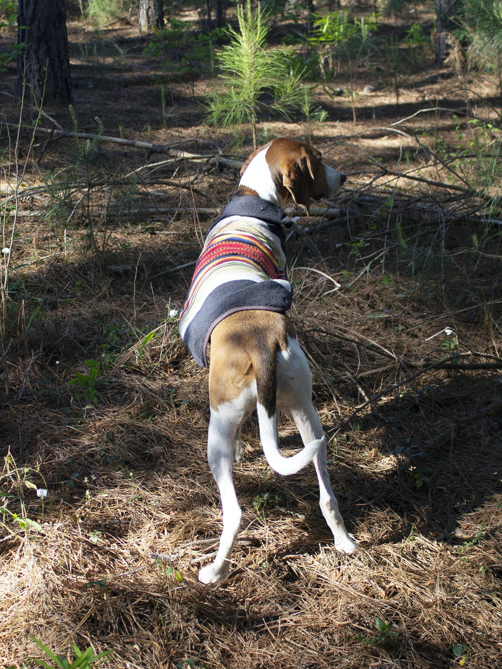 Small Dog Coat O9265