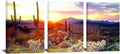 3 Piece Saguaro Cactus Canvas Wall Art Sunset at Arizona Sonoran Desert Landscape Painting Print X259