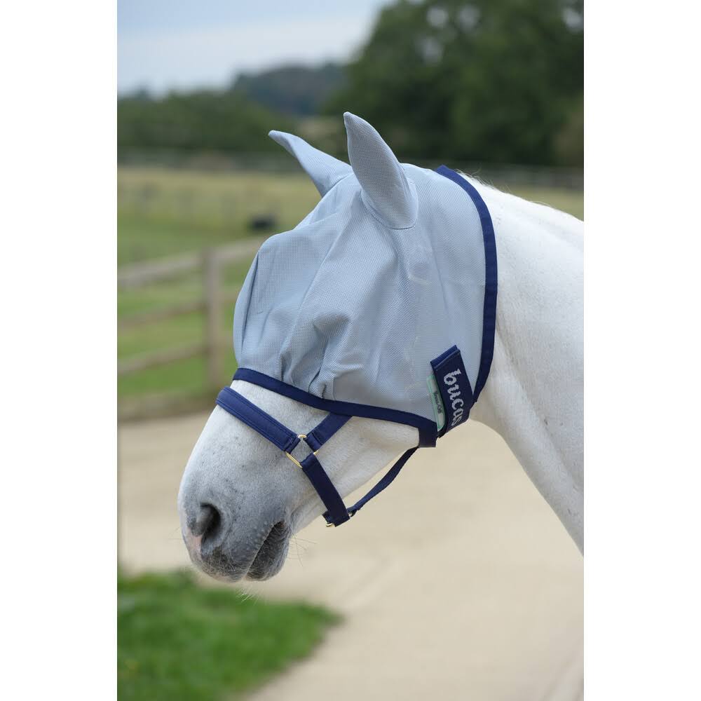 Blue Fly Mask C974