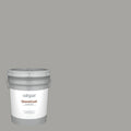 Exterior Paint 5-Gallon H280