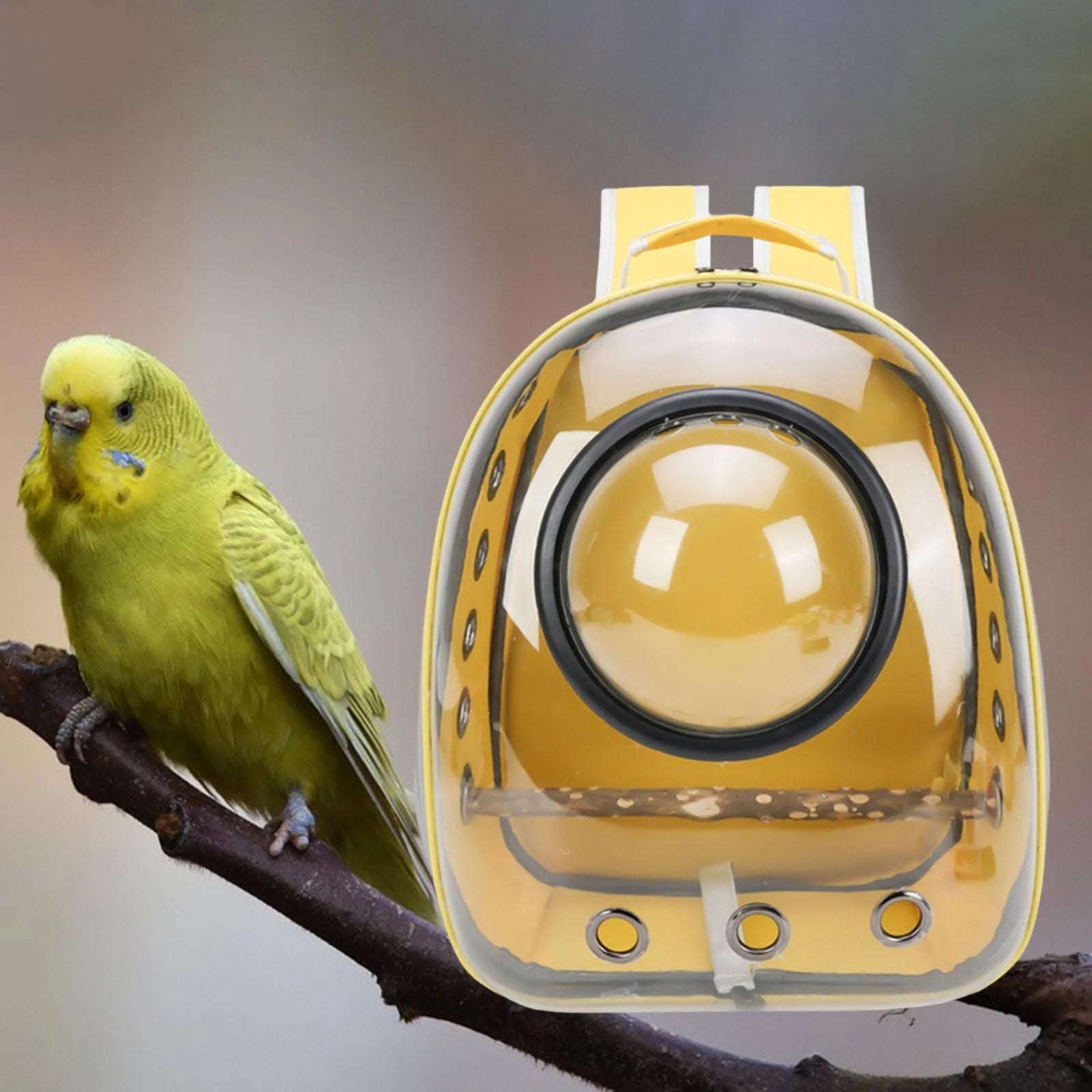 Green Yellow Transparent Bird Carrier with Perch W98019
