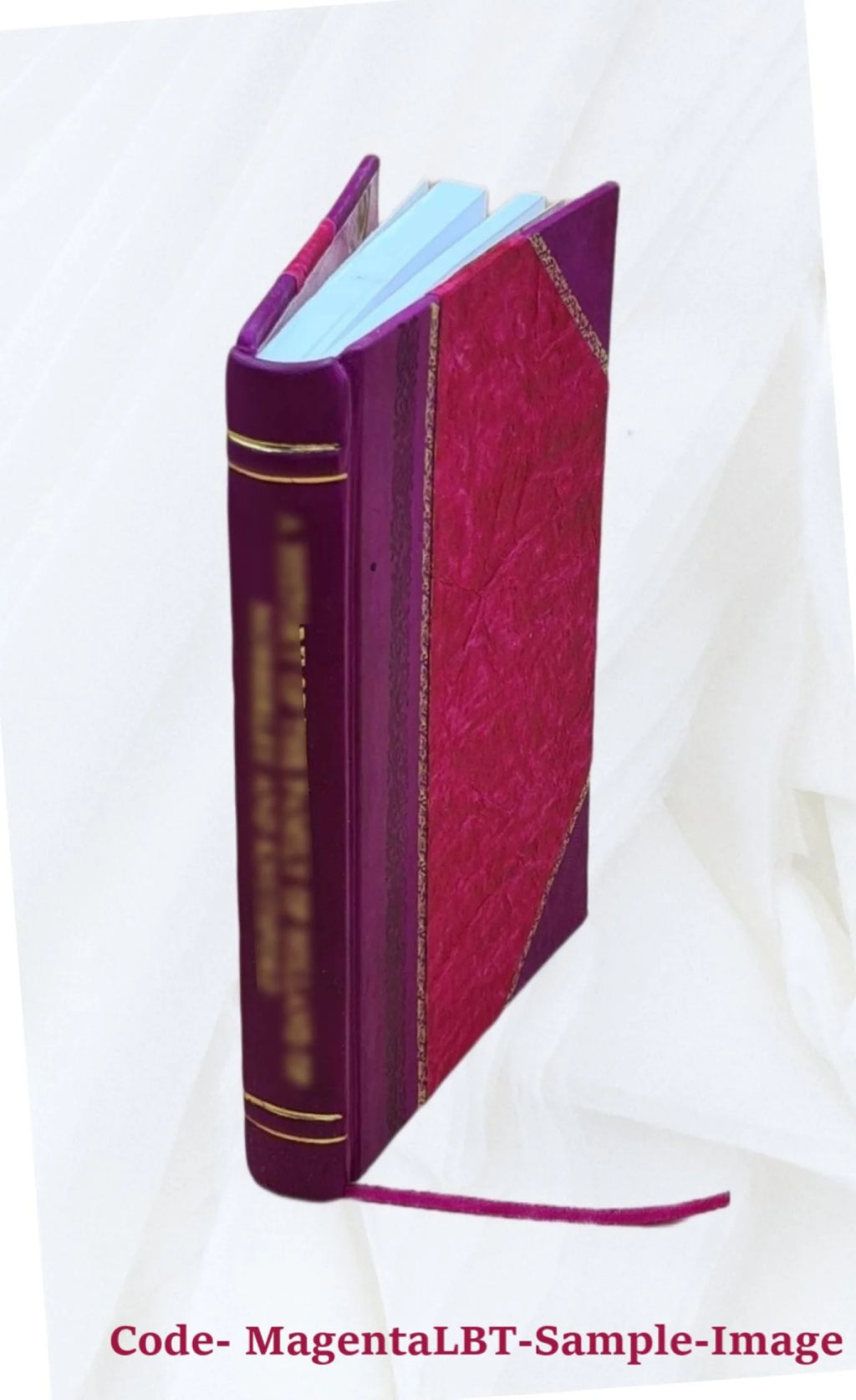 Leather Bound Book T8551