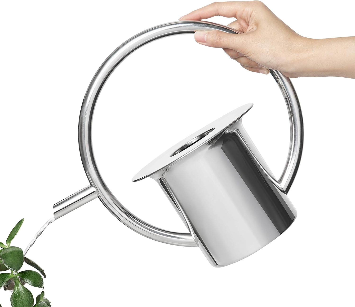 Stainless Steel Watering Can E820