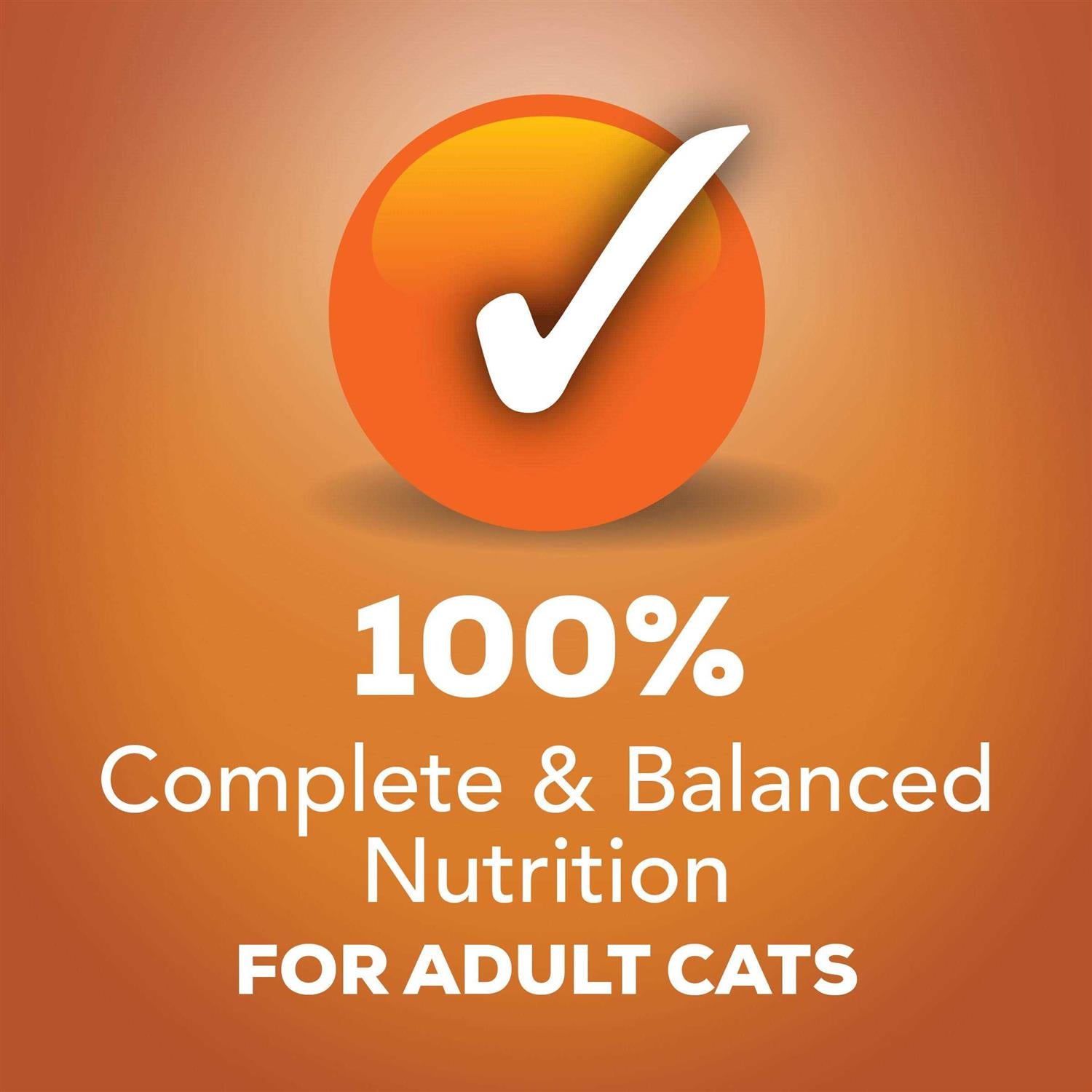 TurChicken Wet Cat Food Variety Pack Z187224