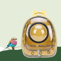 Green Yellow Transparent Bird Carrier with Perch W98019