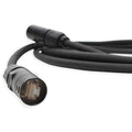 100' Cat6 Cable M881