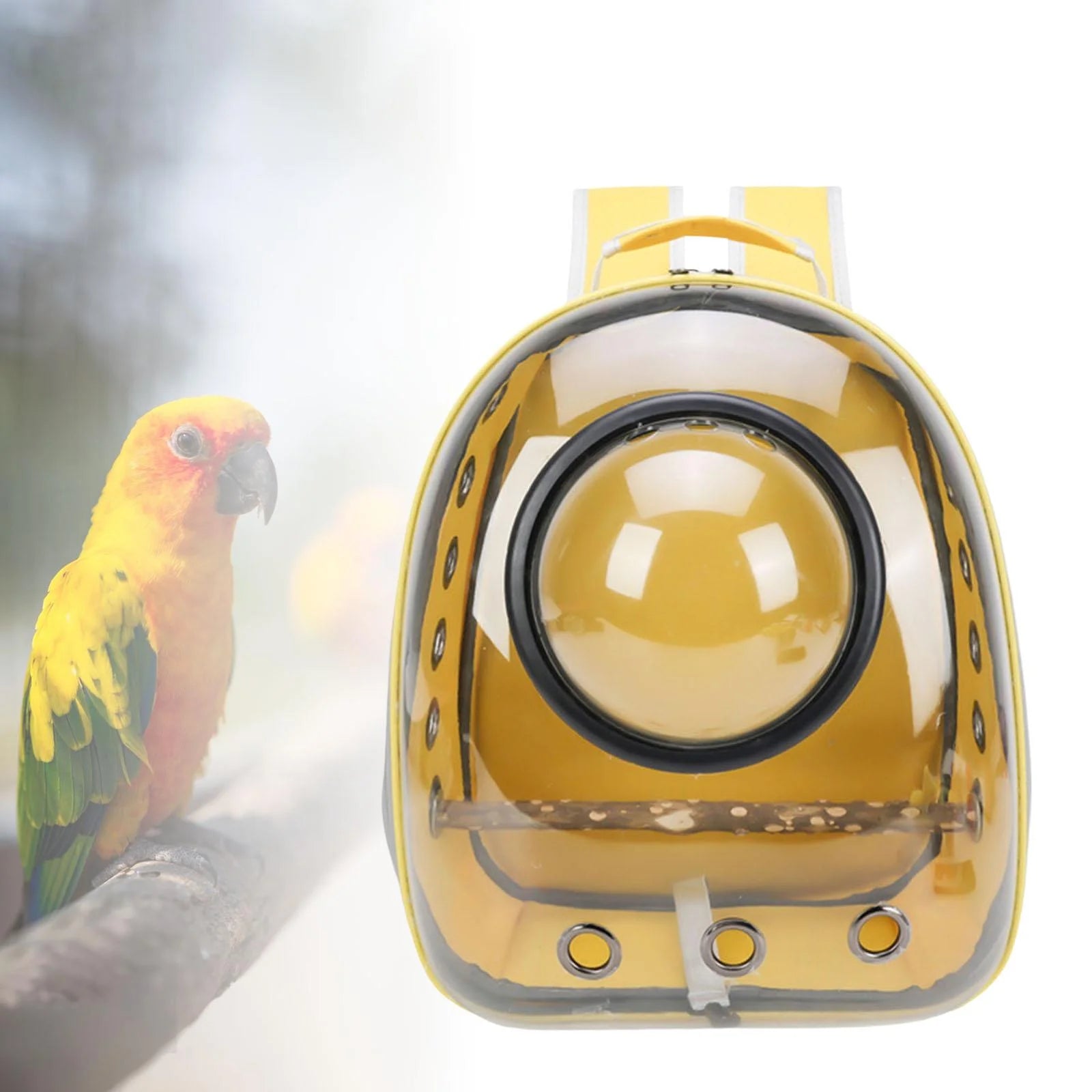 Green Yellow Transparent Bird Carrier with Perch W98019