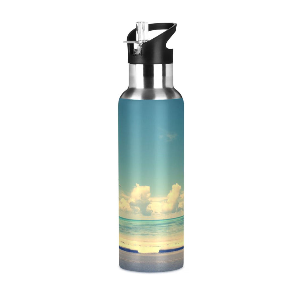 Insulated Stainless Steel Water Bottle with Straw Lid 20 oz C9815