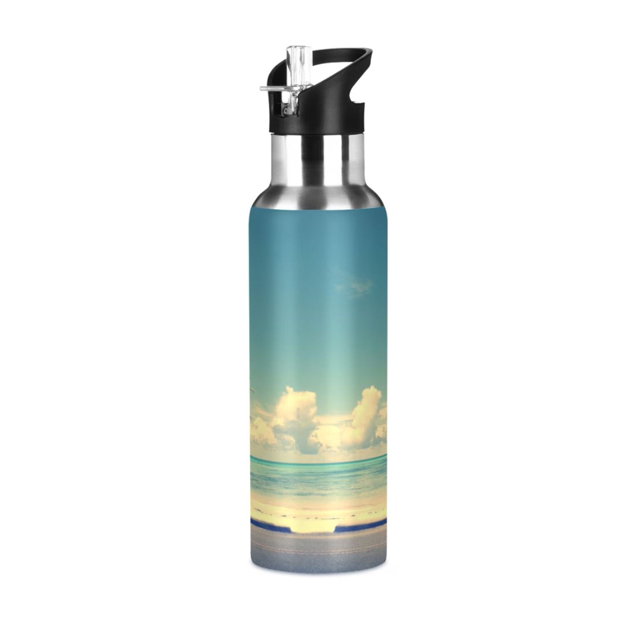 Insulated Stainless Steel Water Bottle with Straw Lid 20 oz C9815