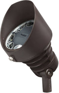 Bronzed Brass Spot Light E497562