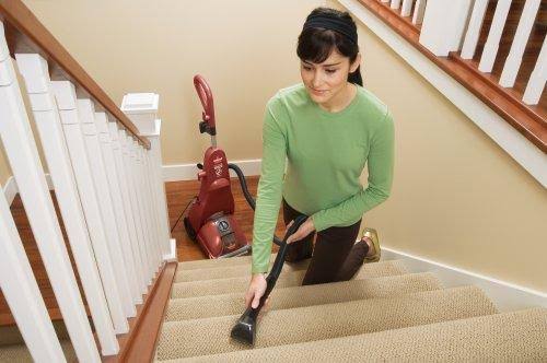 Full Sized Carpet Cleaner V266260
