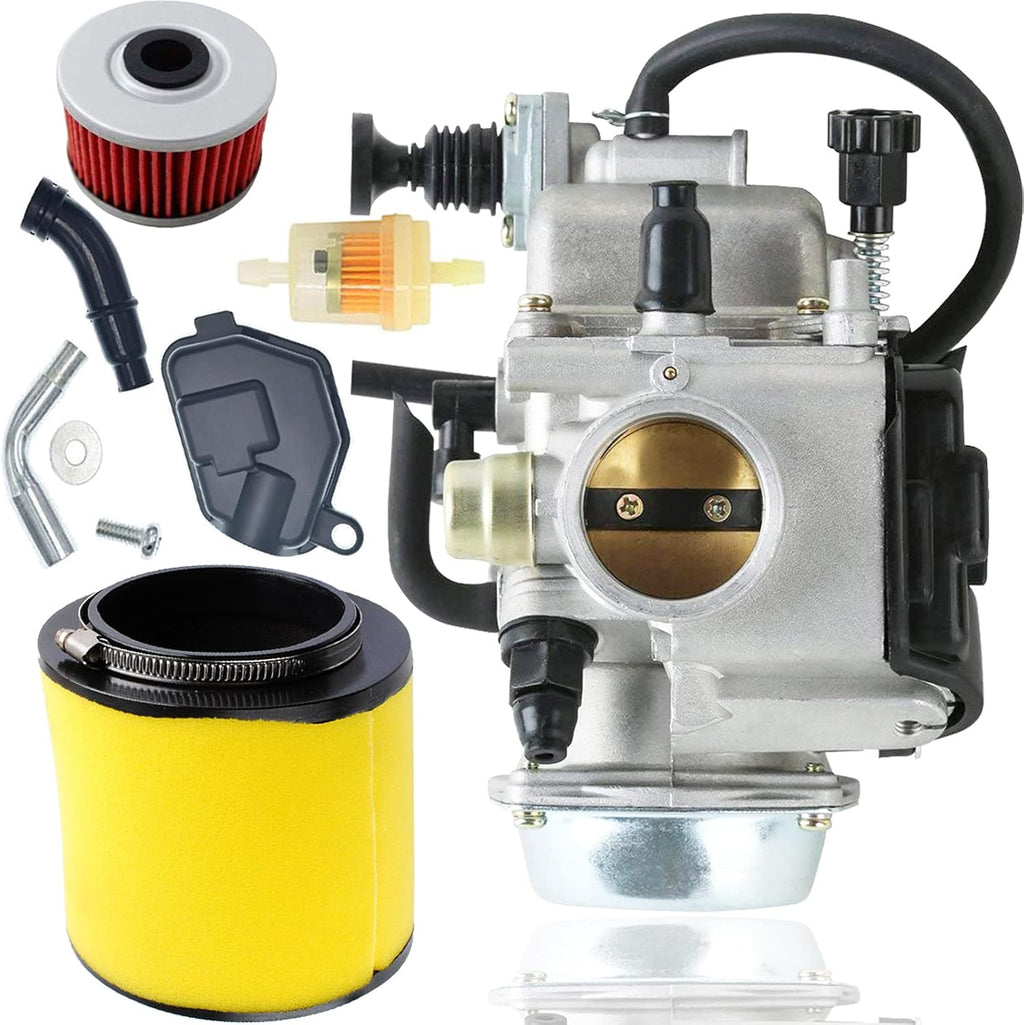 Carburetor with Oil Filter and Air Filter, Pack of 2 J798