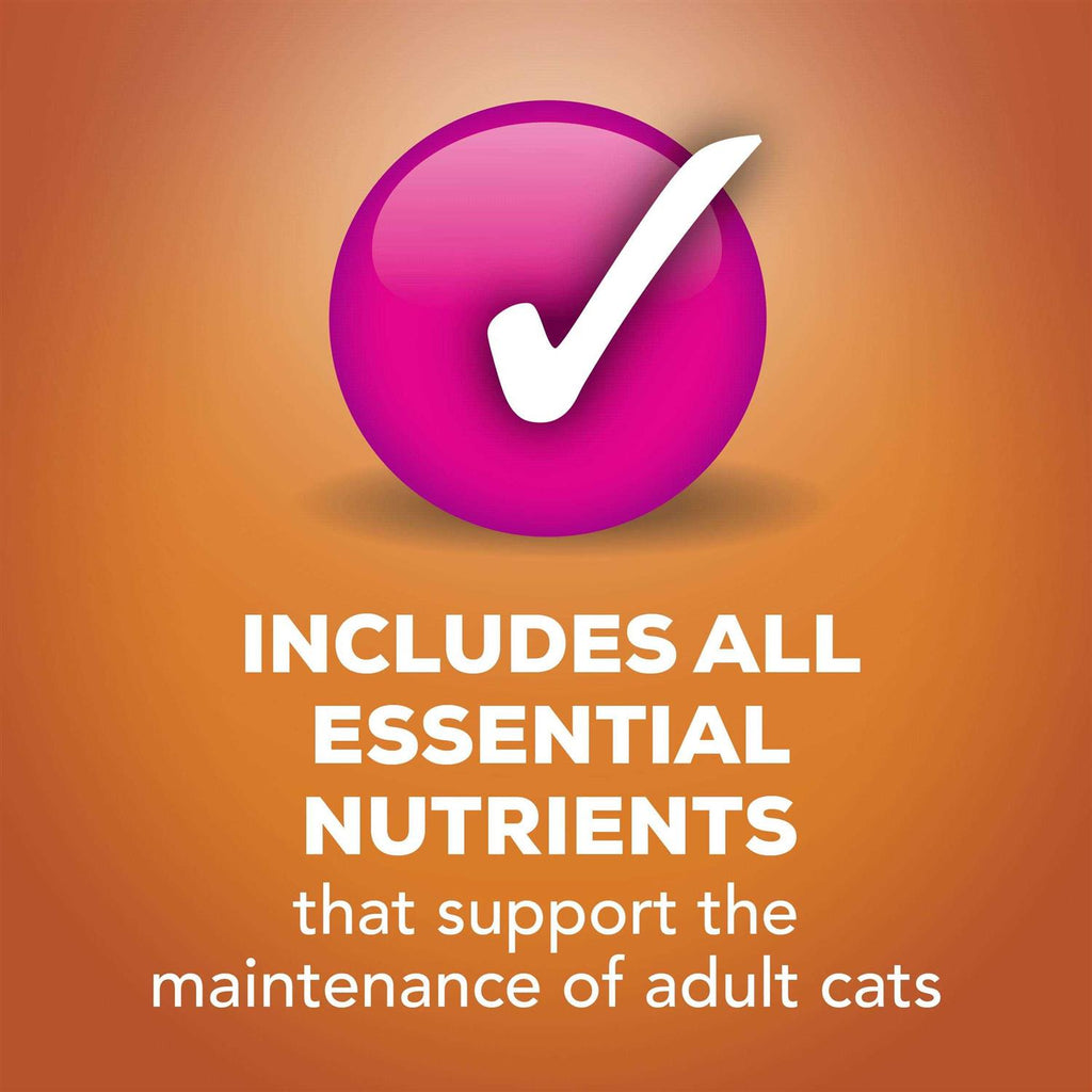 TurChicken Wet Cat Food Variety Pack Z187224