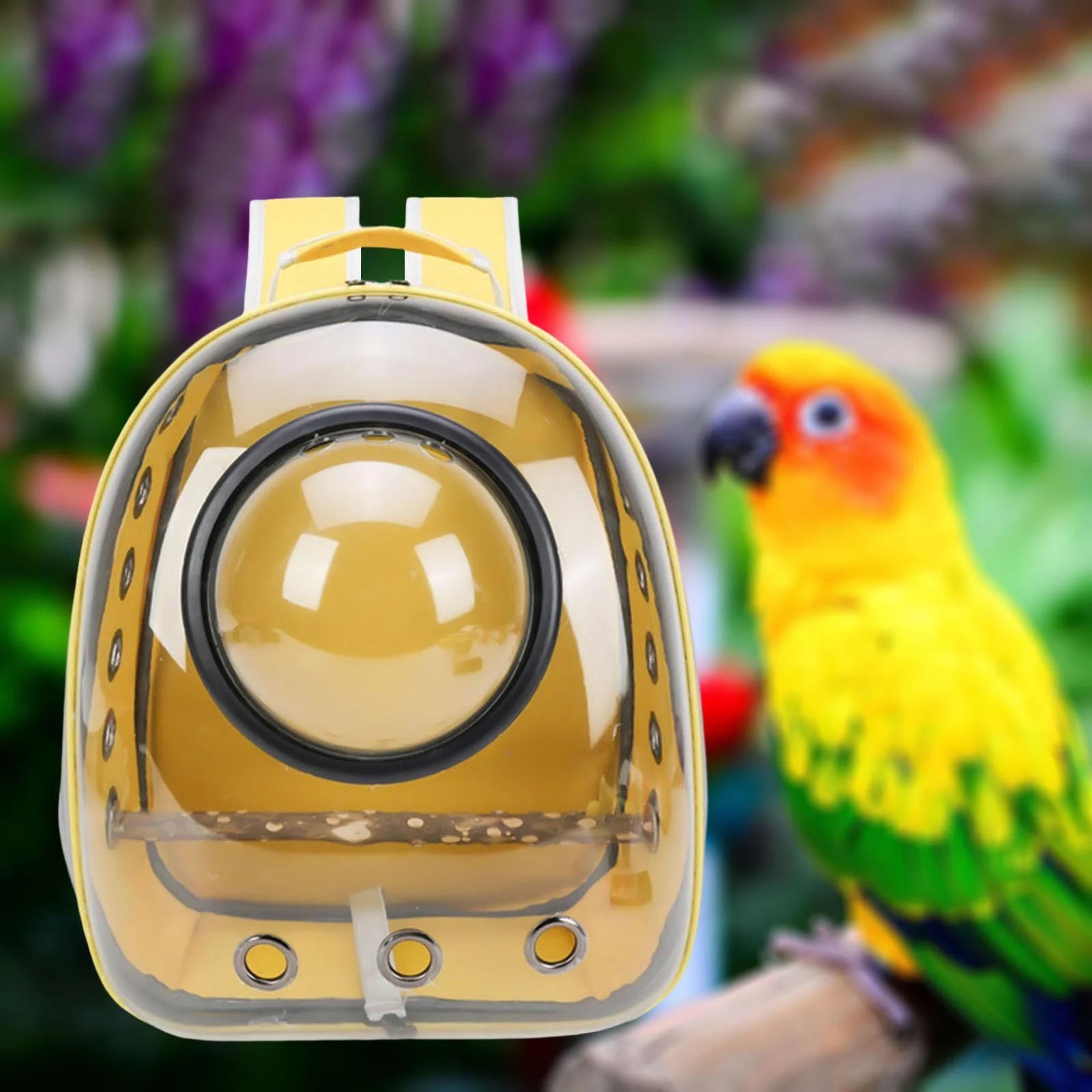Green Yellow Transparent Bird Carrier with Perch W98019