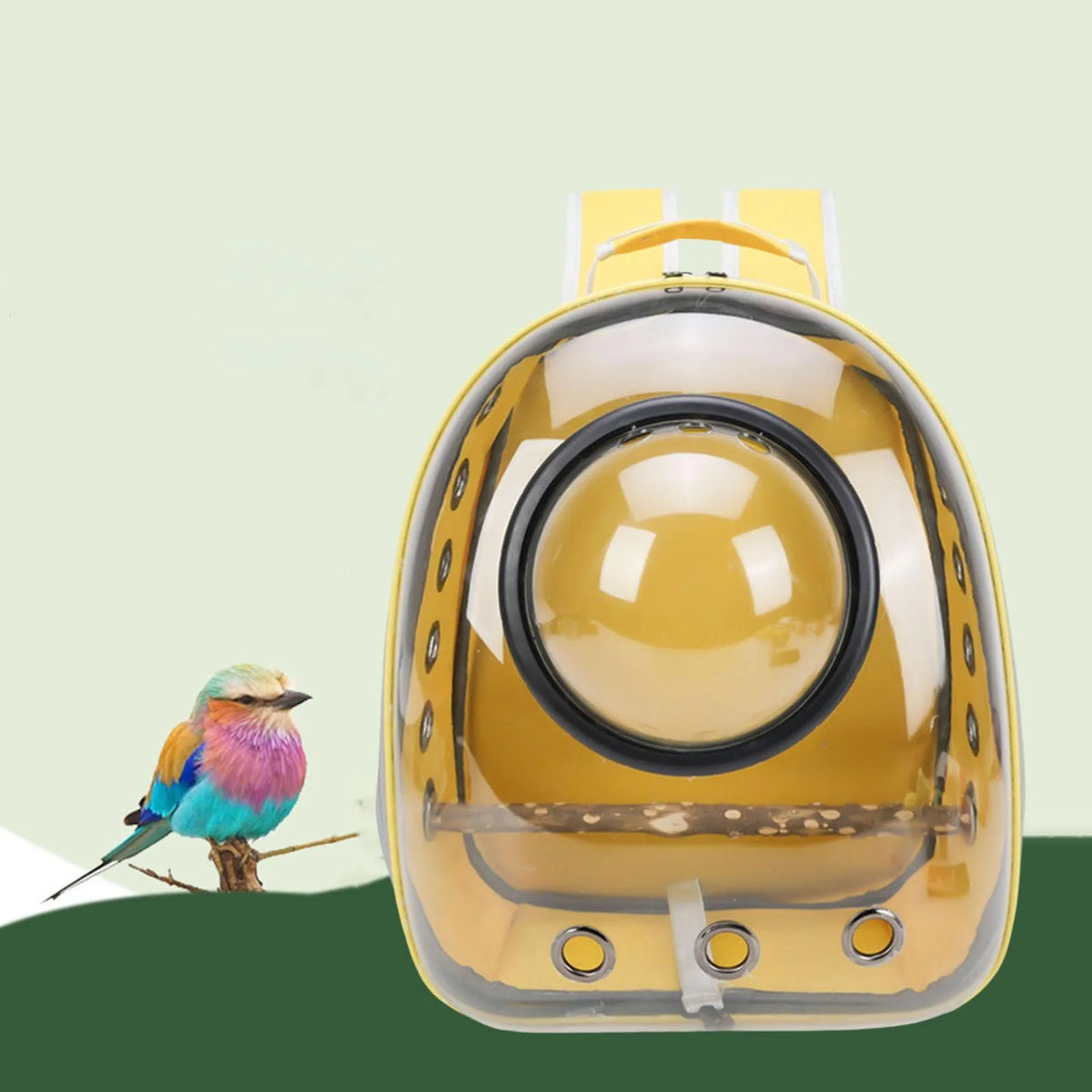 Green Yellow Transparent Bird Carrier with Perch W98019