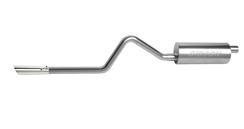 Aluminized Cat-Back Single Exhaust System W23878