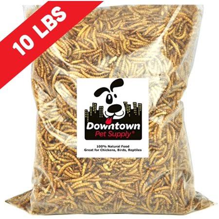 All Natural Dried Mealworm Treats 10 lb W774