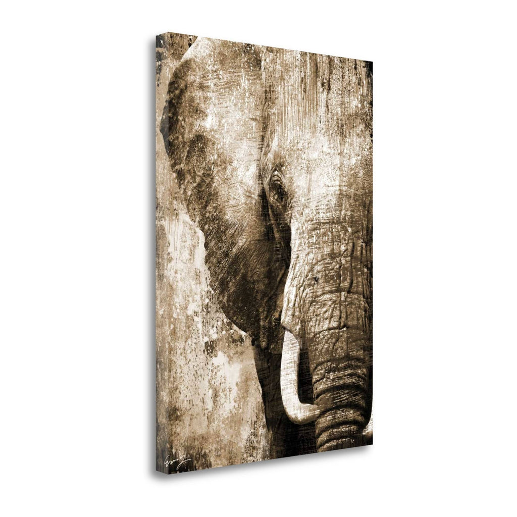 African Animals I - Sepia Y459