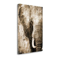 African Animals I - Sepia Y459