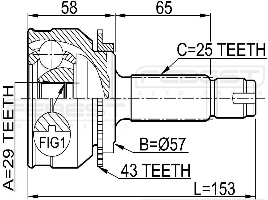 Pack of 2 A81040