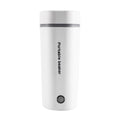 350ML Stainless Steel Electric Kettle E748051