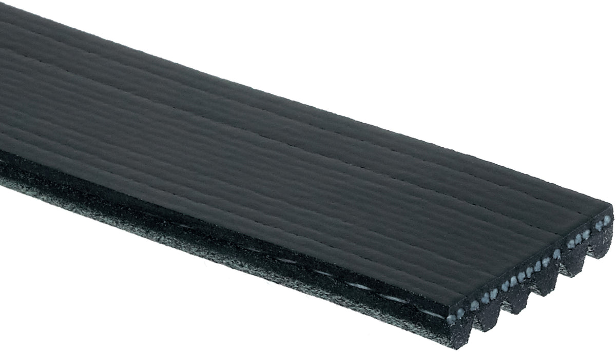 Serpentine Belt I388