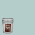 Satin Exterior Paint (5-Gallon) V405610