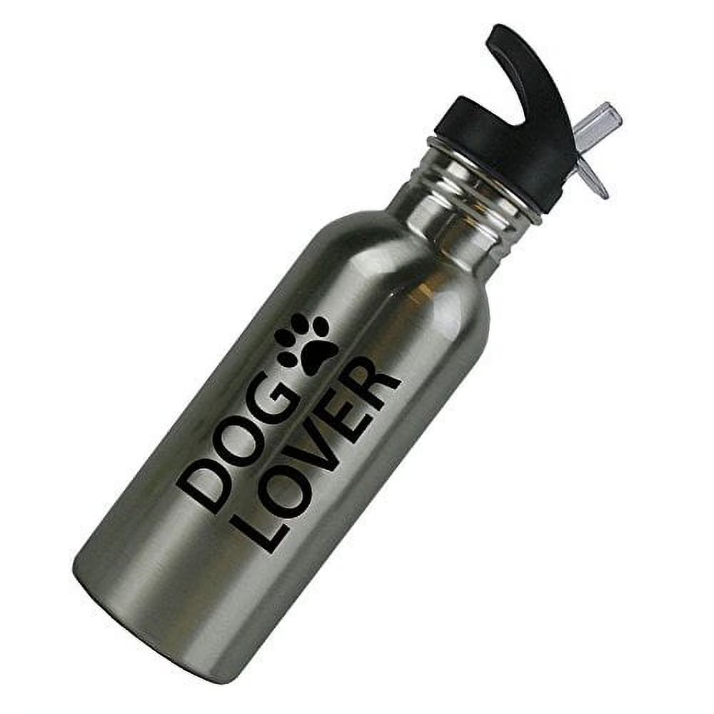 Stainless Steel Silver 20 Oz Water Bottle with Sport Top, Straw H935355