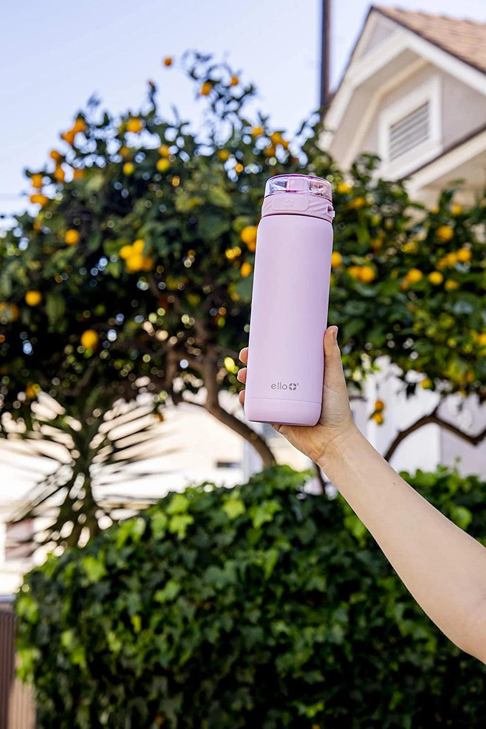 Purple Stainless Steel Water Bottle A537240
