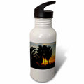21 oz Sports Water Bottle E511