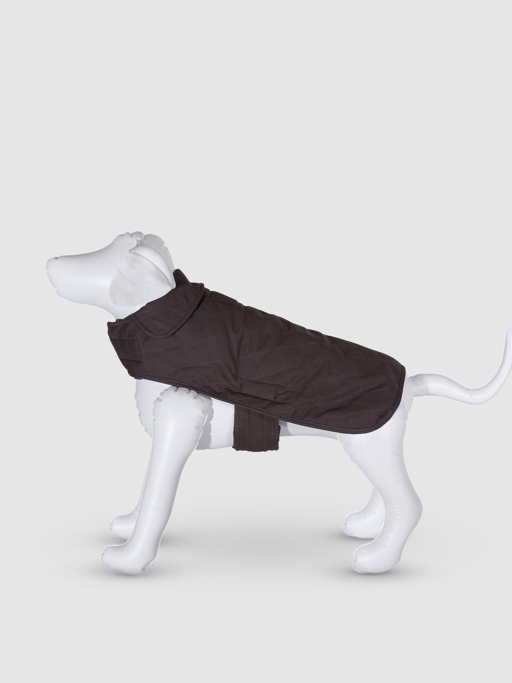 Small Dog Coat O9265