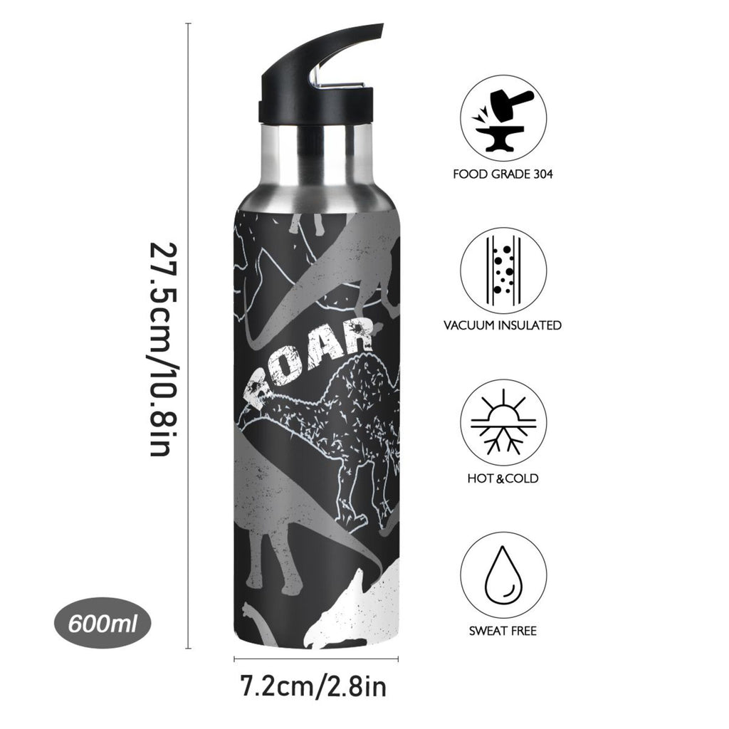 Stainless Steel Insulated Water Bottle with Straw Lid P55233