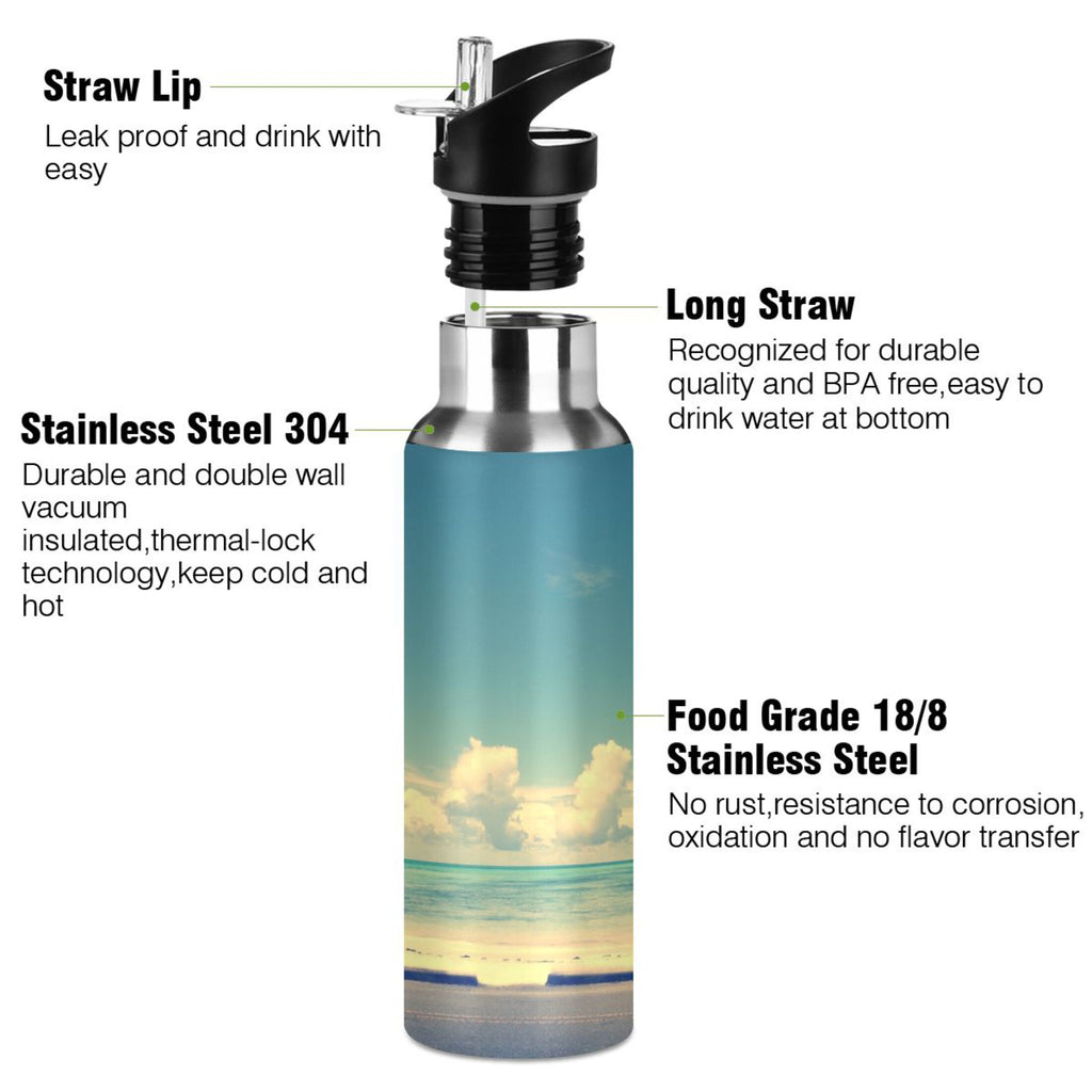 Insulated Stainless Steel Water Bottle with Straw Lid 20 oz C9815