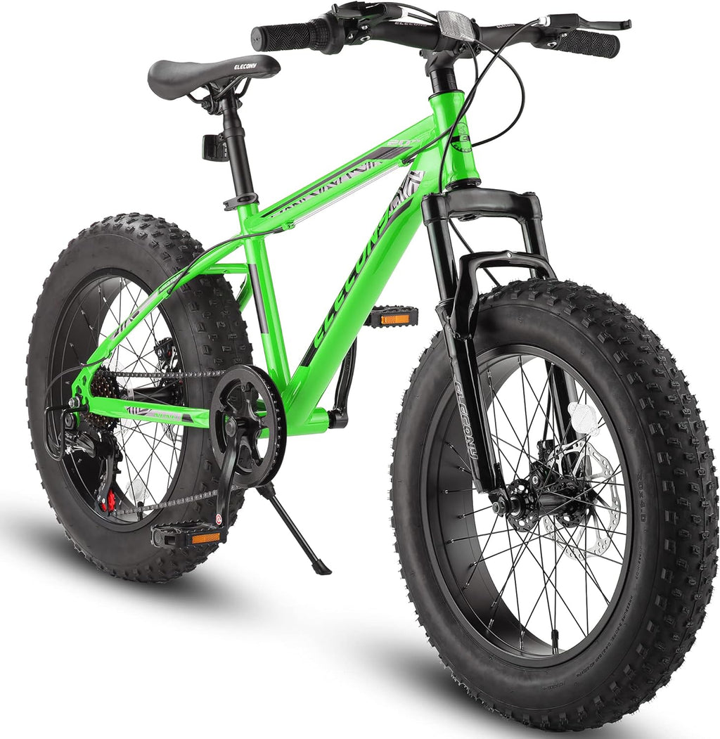 26/20 Inch Fat Tire Mountain Bike S946254